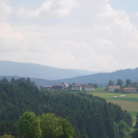 Ferienwohnung Rachel Mit Herrlichem Ausblick Rinchnach Extérieur photo