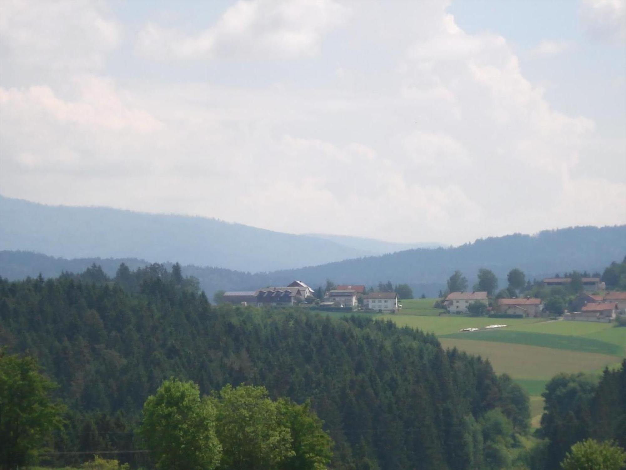 Ferienwohnung Rachel Mit Herrlichem Ausblick Rinchnach Extérieur photo